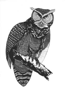 Acrylic Engraving Titled 'Owl'